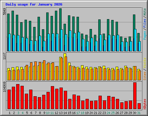 Daily usage for January 2026