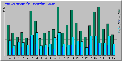 Hourly usage for December 2025