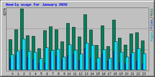 Hourly usage for January 2026