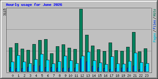 Hourly usage for June 2026